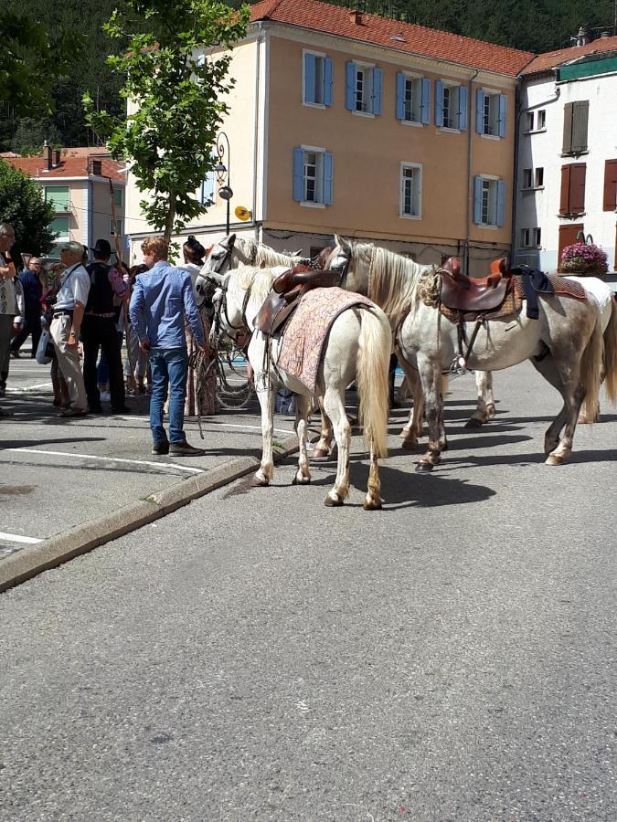 Les Mirabelles Chambres D'Hotes Sisteron Exterior photo